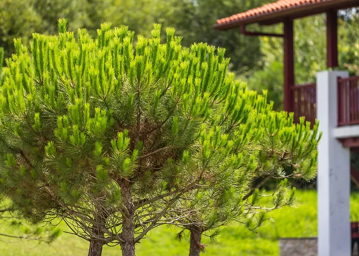 Appart hôtel Résidence Odalys Domaine Iratzia 4*