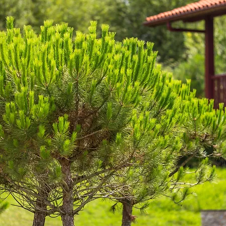 Ξενοδοχείο με διαμερίσματα Odalys Erromardie 4*